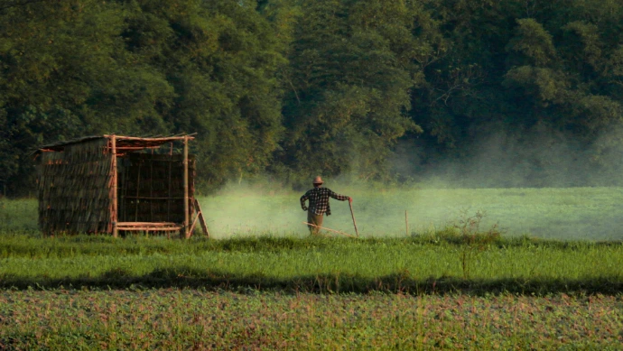 a man walking across a lush green field